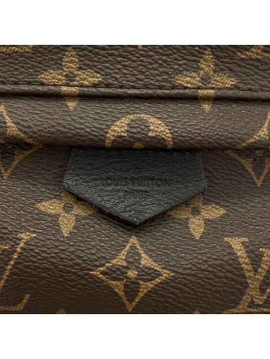 Louis Vuitton Monogram Palm Spring Backpack PM Sac main image 2